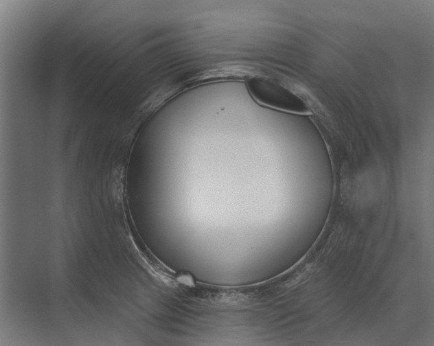 X0000073871233200608241126