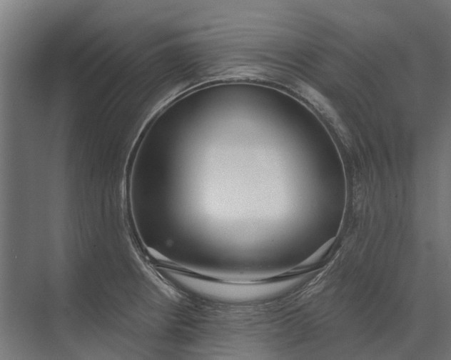 X0000073871234200608241126