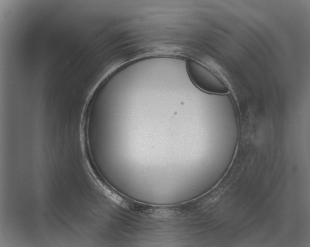 X0000073871235200608241126