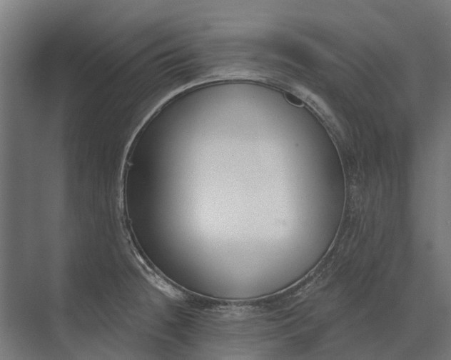 X0000073871236200608241126