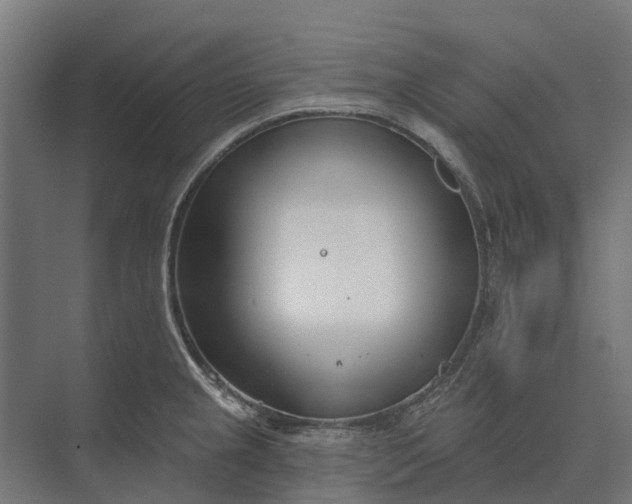 X0000073871237200608241126