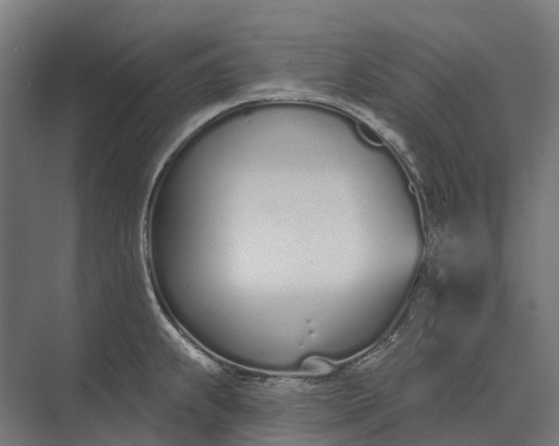 X0000073871239200608241126