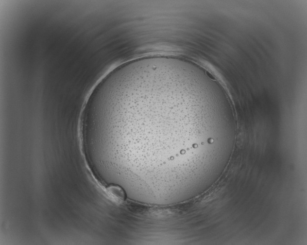 X0000073871243200608241126