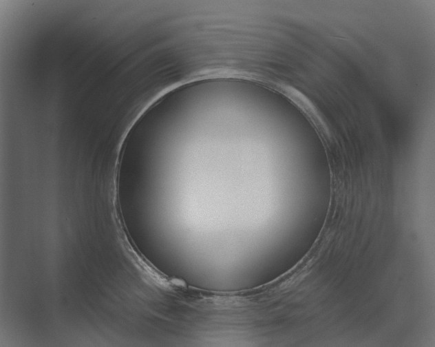 X0000073871244200608241126