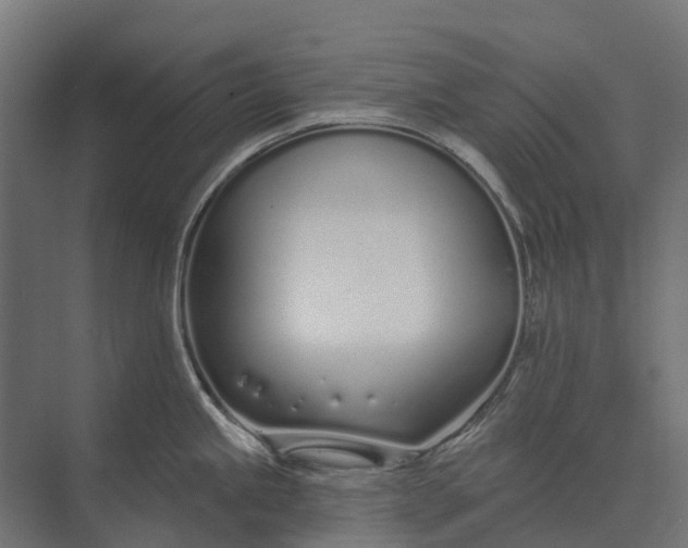 X0000073871245200608241126