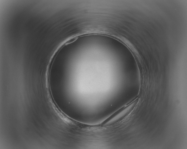 X0000073871246200608241126