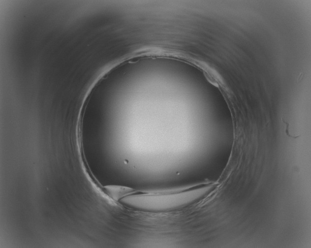 X0000073871247200608241126