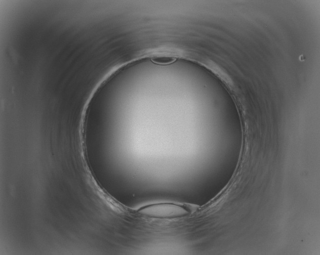 X0000073871248200608241126