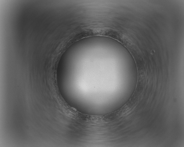 X0000073871249200608241125