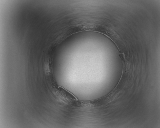 X0000073871250200608241125