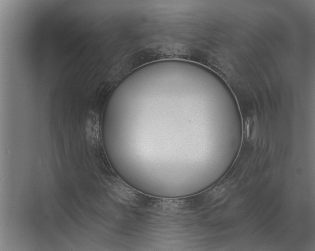 X0000073871251200608241125