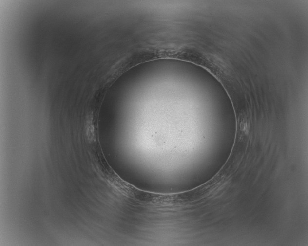 X0000073871252200608241125