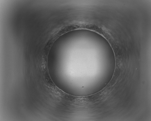 X0000073871253200608241125