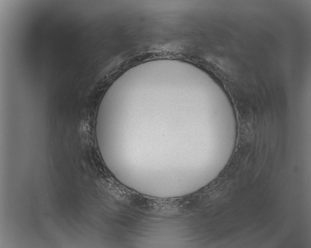 X0000073871254200608241125