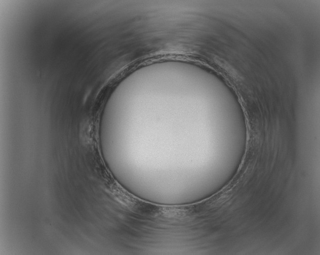 X0000073871258200608241125