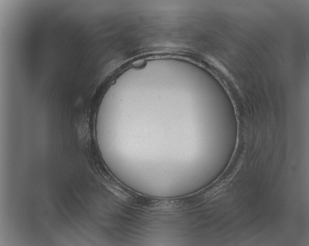 X0000073871259200608241125