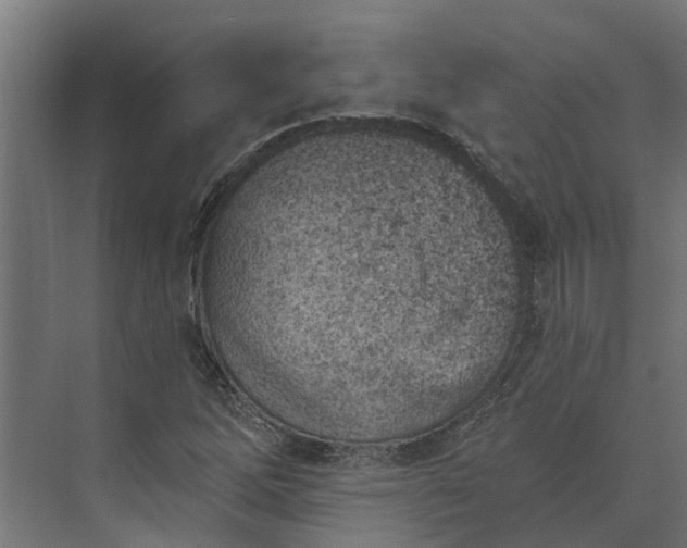 X0000073871262200608241125