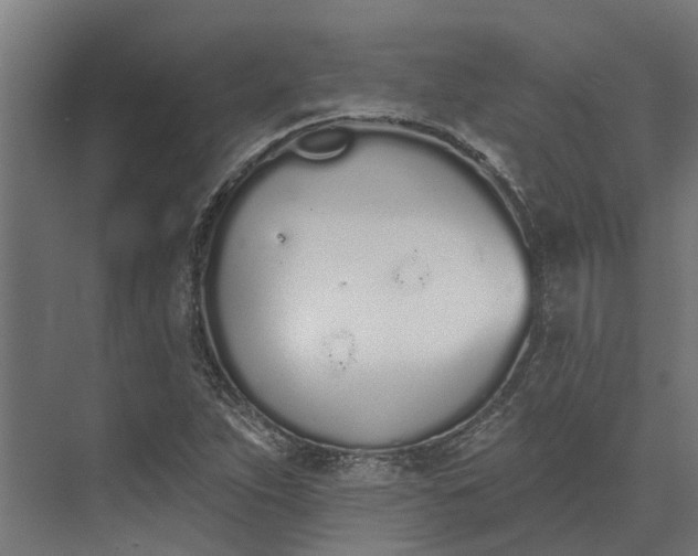 X0000073871263200608241125