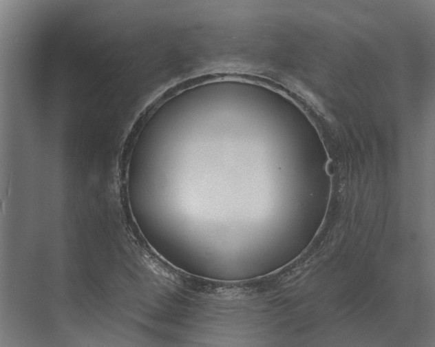 X0000073871264200608241125