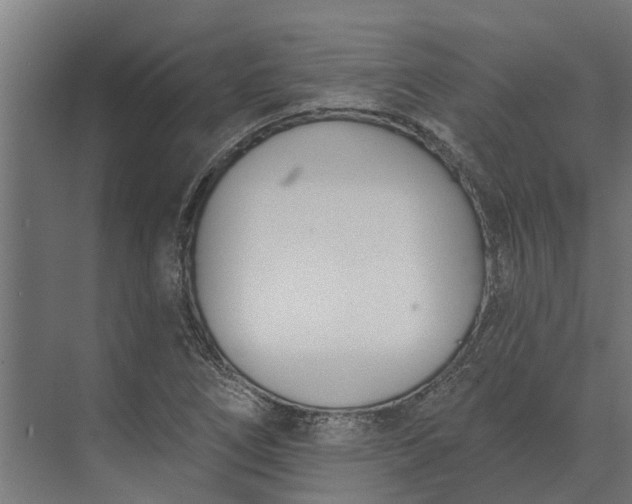 X0000073871266200608241125