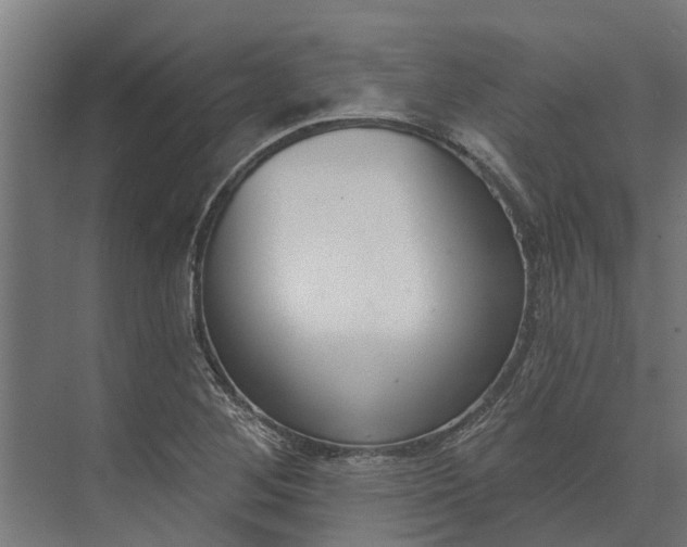 X0000073871268200608241125