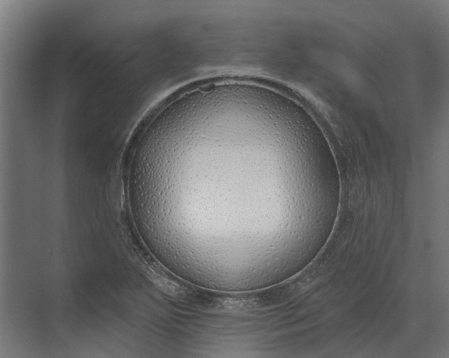 X0000073871271200608241125