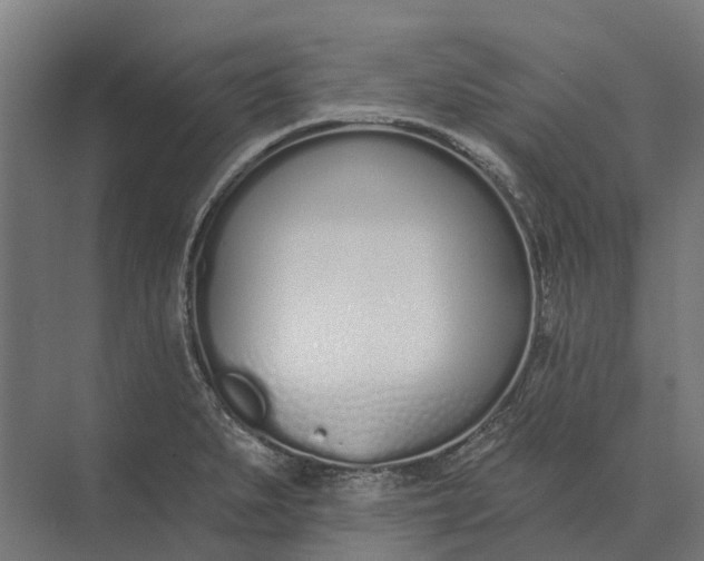 X0000073871279200608241125