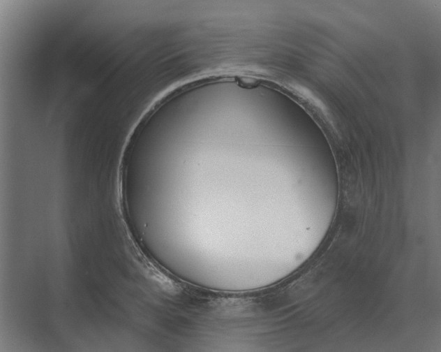 X0000073871280200608241125