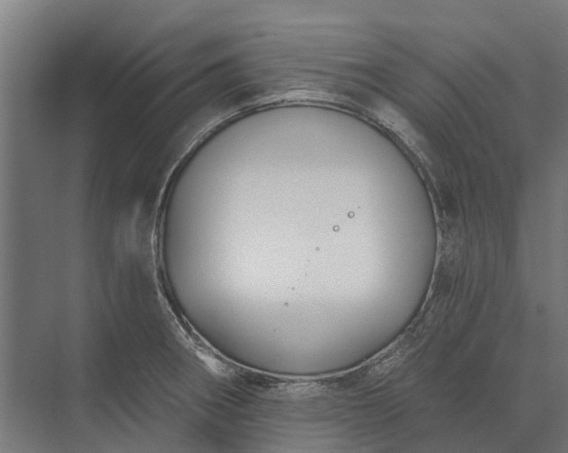 X0000073871282200608241125