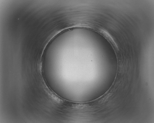 X0000073871284200608241125