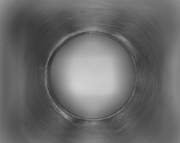 X0000073871286200608241125