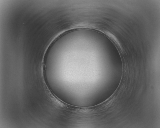 X0000073871288200608241125