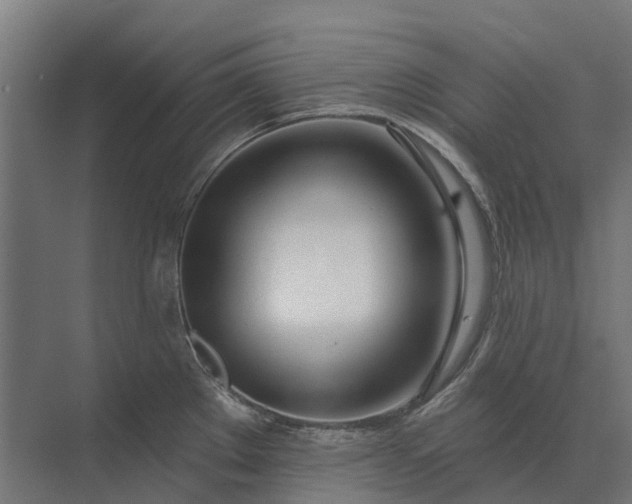 X0000073871289200608241125