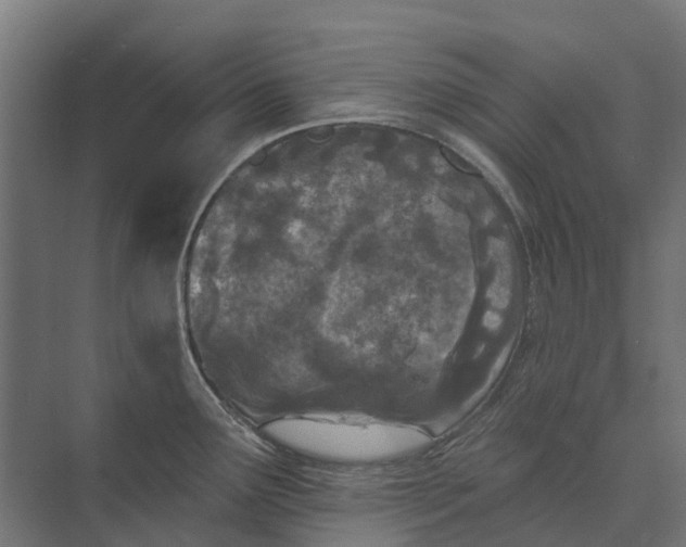 X0000073871291200608241125