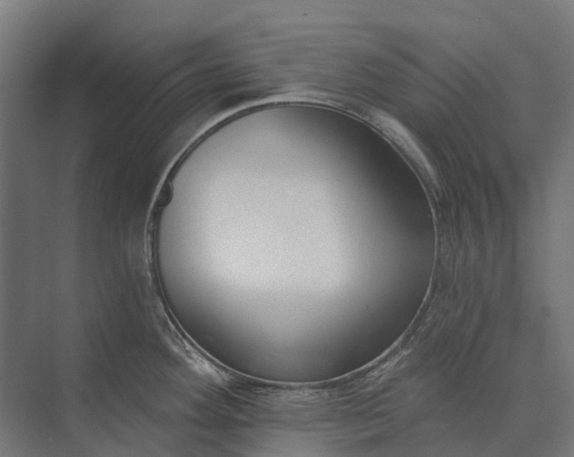 X0000073871292200608241125