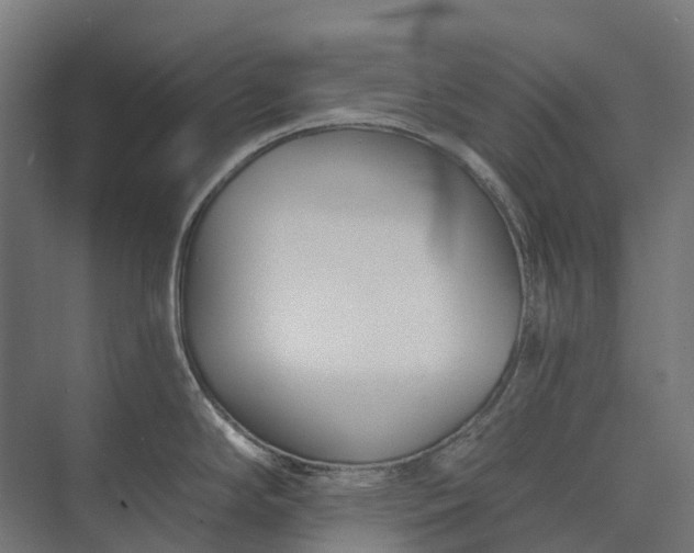 X0000073871294200608241125