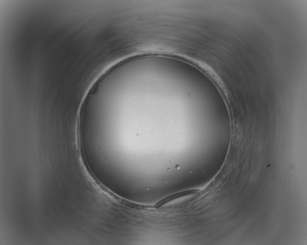 X0000073871295200608241125