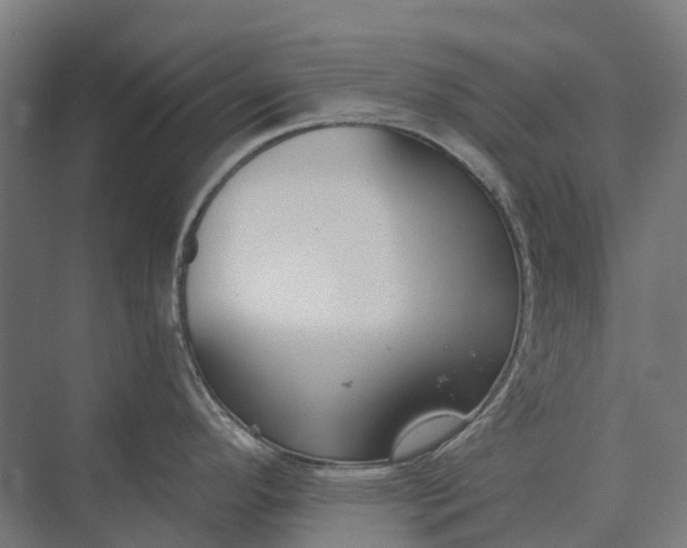 X0000073871296200608241125