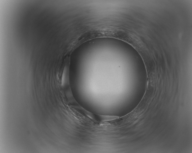 X0000073871298200608241124