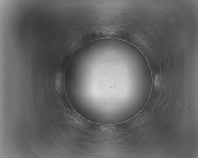 X0000073871299200608241124