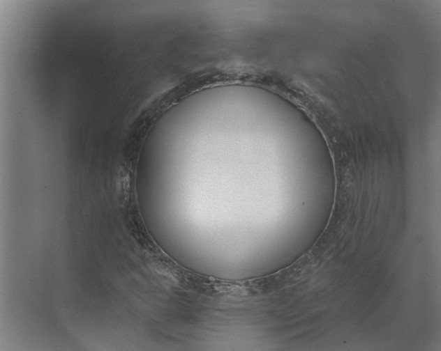 X0000073871302200608241124