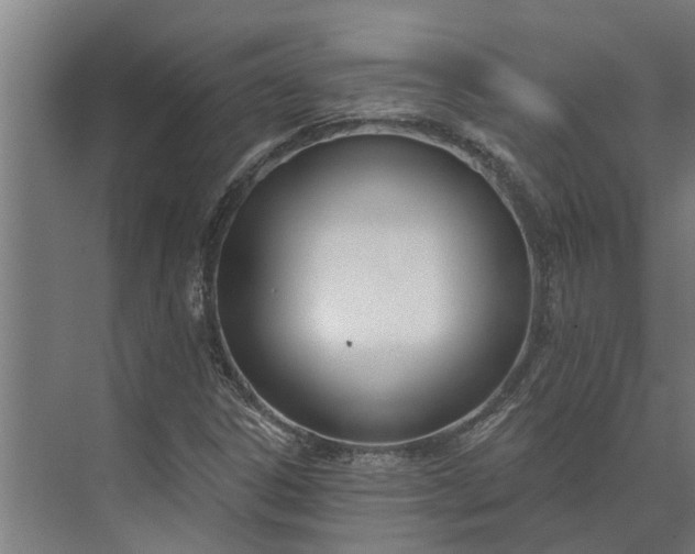 X0000073871306200608241124