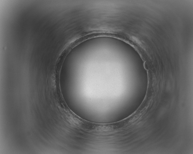 X0000073871307200608241124