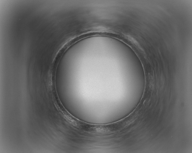 X0000073871318200608241124