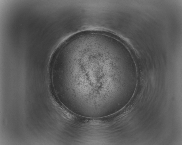 X0000073871319200608241124