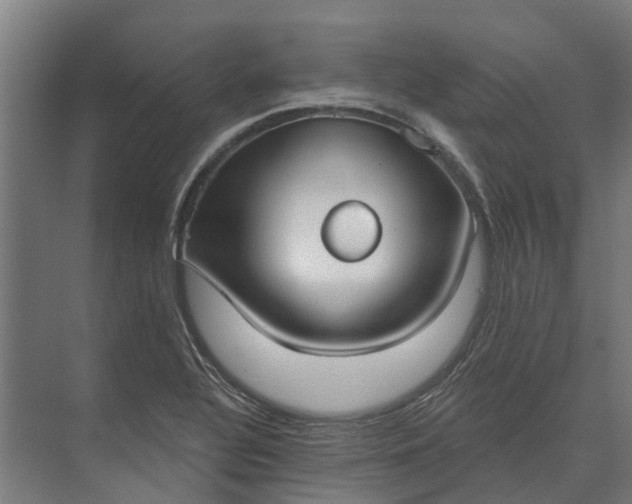 X0000073871320200608241124