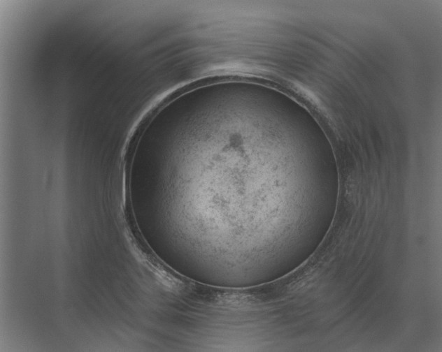 X0000073871323200608241124