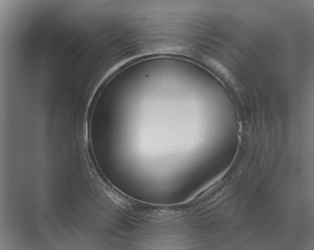 X0000073871324200608241124