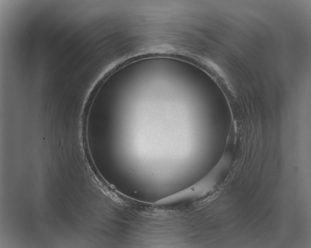 X0000073871326200608241124