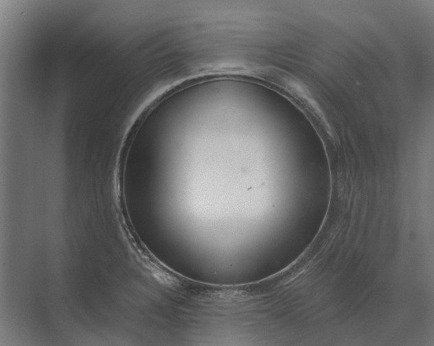 X0000073871328200608241124